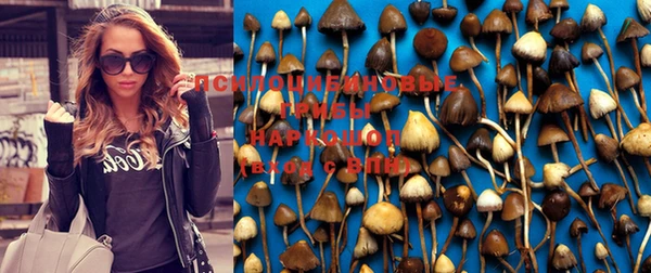 бутират Верхний Тагил