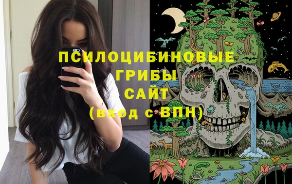 ECSTASY Верея