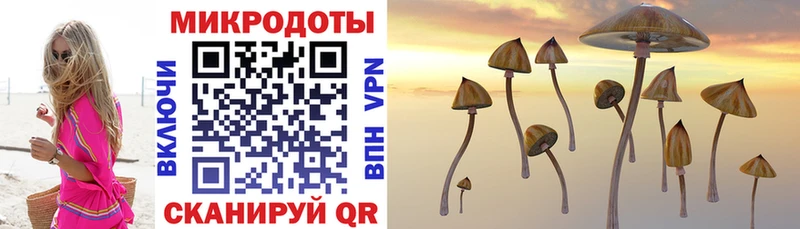 Купить где  Магадан  Галлюциногенные грибы ЛСД 